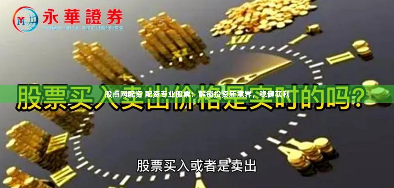 股点网配资 配资专业股票：解锁投资新境界，稳健获利