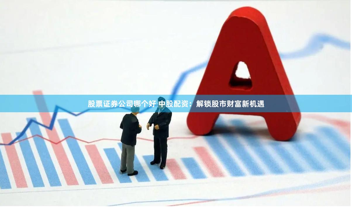 股票证券公司哪个好 中股配资：解锁股市财富新机遇