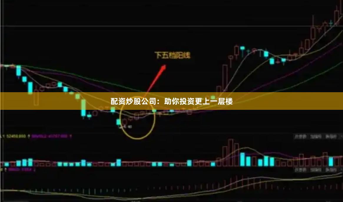 配资炒股公司：助你投资更上一层楼