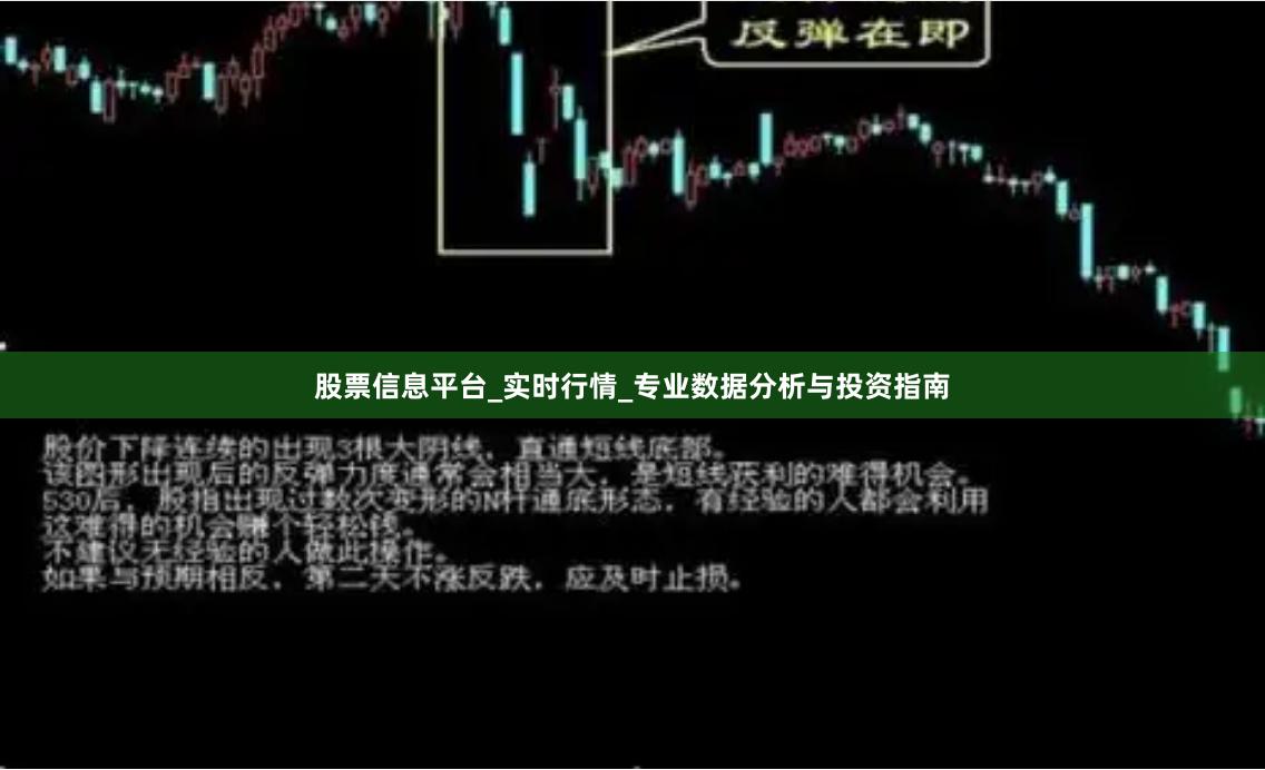 股票信息平台_实时行情_专业数据分析与投资指南